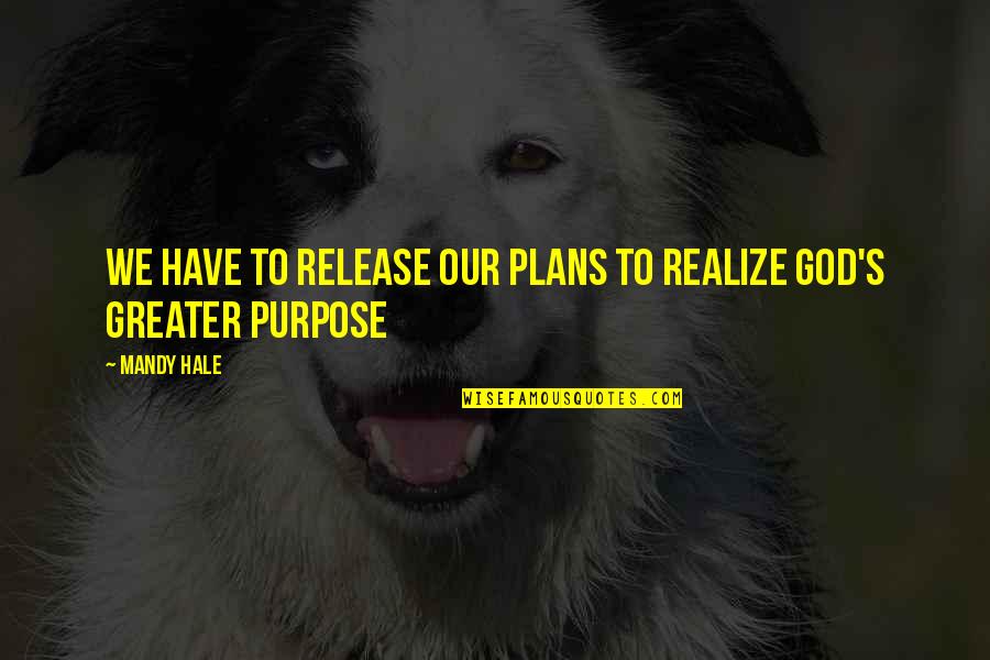 Draindru Quotes By Mandy Hale: We have to release our plans to realize