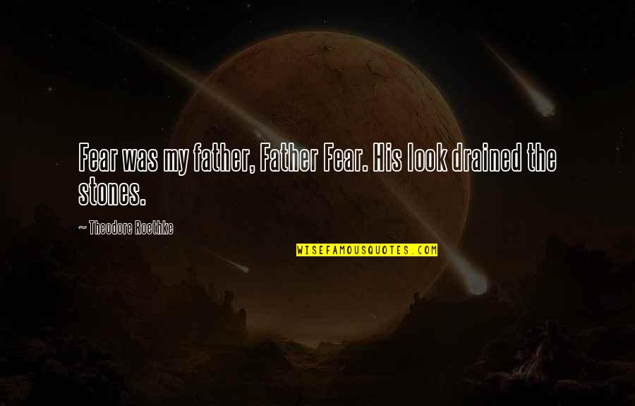 Drained Quotes By Theodore Roethke: Fear was my father, Father Fear. His look