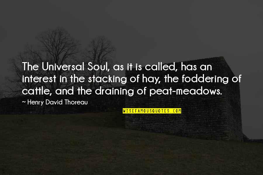 Draining Quotes By Henry David Thoreau: The Universal Soul, as it is called, has