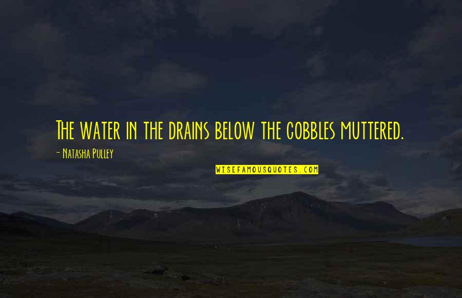Drains Quotes By Natasha Pulley: The water in the drains below the cobbles