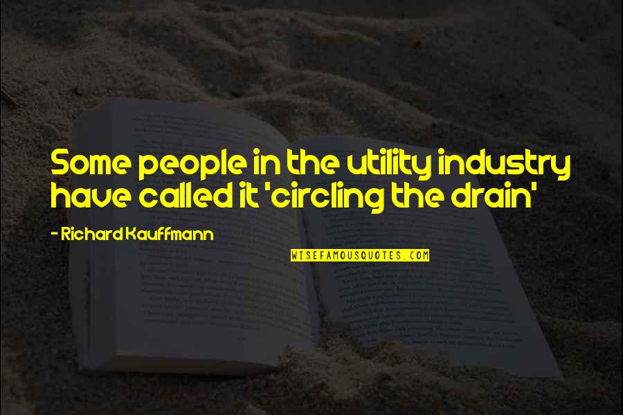 Drains Quotes By Richard Kauffmann: Some people in the utility industry have called