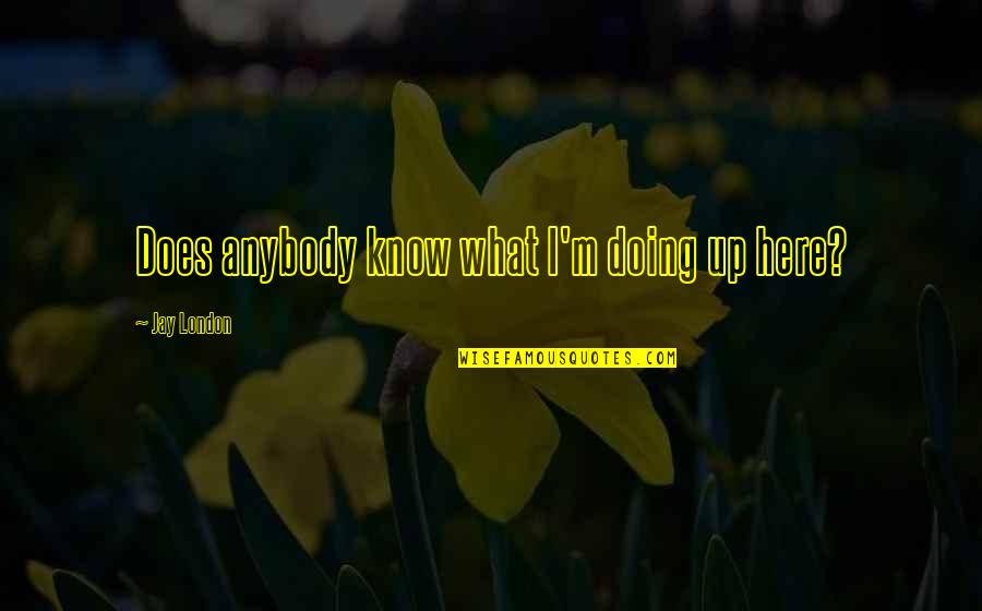 Drake And Nicki Quotes By Jay London: Does anybody know what I'm doing up here?