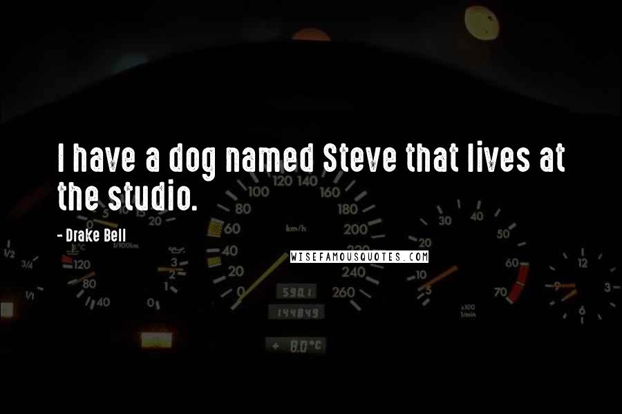 Drake Bell quotes: I have a dog named Steve that lives at the studio.