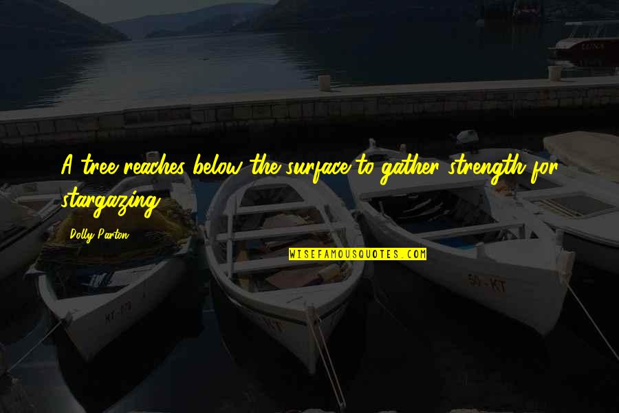 Drake Degrassi Quotes By Dolly Parton: A tree reaches below the surface to gather