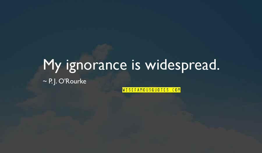 Drake Himself Quotes By P. J. O'Rourke: My ignorance is widespread.