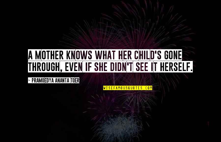 Drake Soft Quotes By Pramoedya Ananta Toer: A mother knows what her child's gone through,