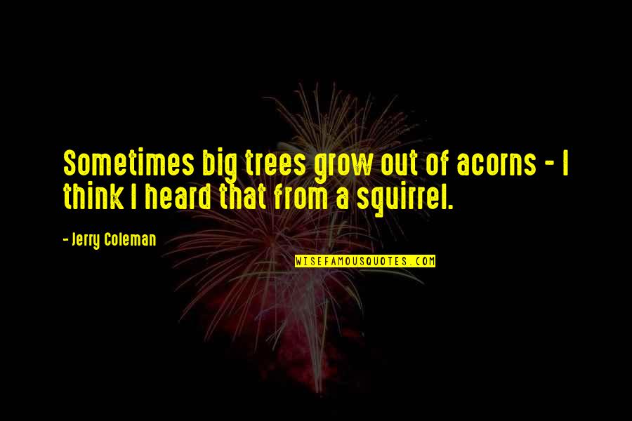 Drakko Quotes By Jerry Coleman: Sometimes big trees grow out of acorns -