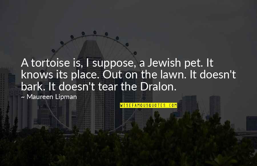 Dralon Quotes By Maureen Lipman: A tortoise is, I suppose, a Jewish pet.