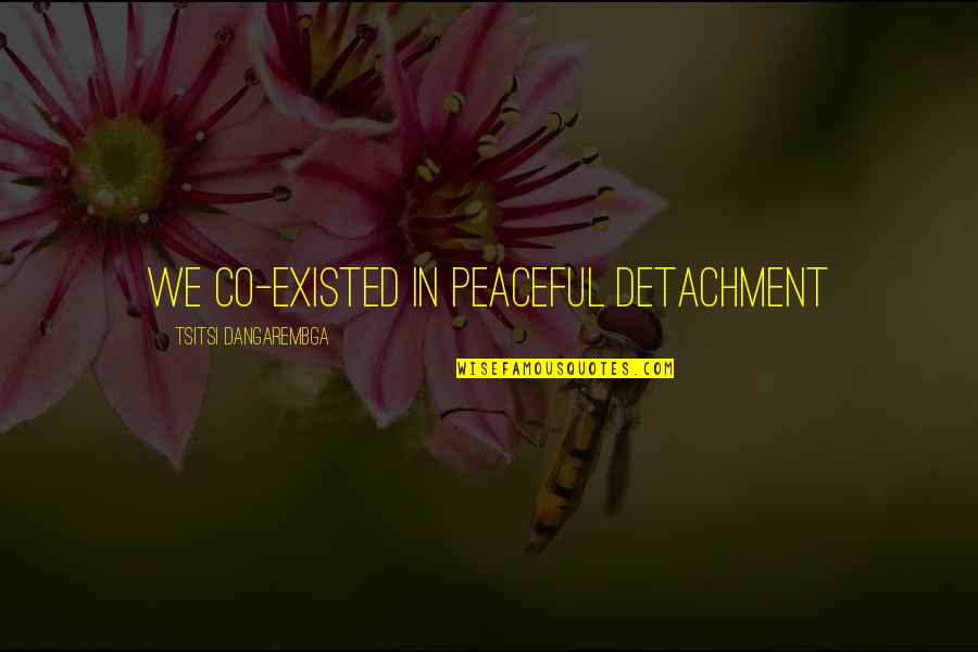 Drama In Relationships Quotes By Tsitsi Dangarembga: We co-existed in peaceful detachment