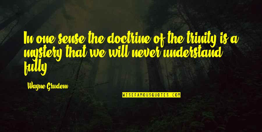 Drama Is Unnecessary Quotes By Wayne Grudem: In one sense the doctrine of the trinity