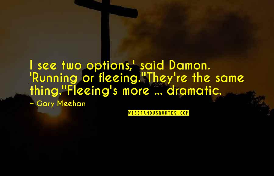 Drama Specific Quotes By Gary Meehan: I see two options,' said Damon. 'Running or