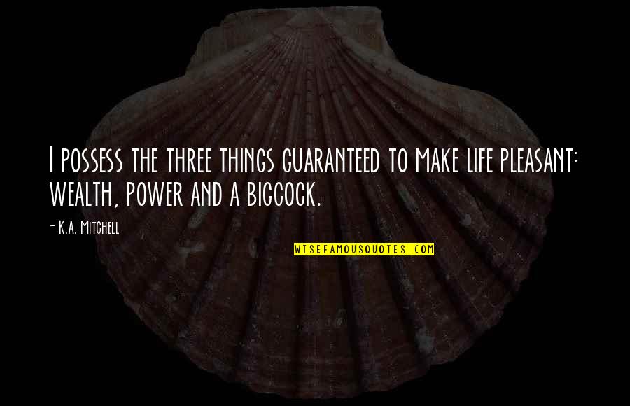 Dramas Of Ahad Quotes By K.A. Mitchell: I possess the three things guaranteed to make