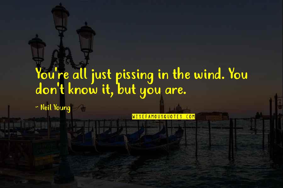 Dramatic Friendships Quotes By Neil Young: You're all just pissing in the wind. You