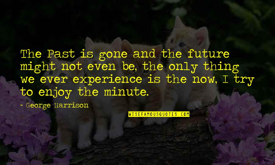 Dramatizar Una Quotes By George Harrison: The Past is gone and the future might Dramatizar Una Quotes By George Harrison: The Past is gone and the future might