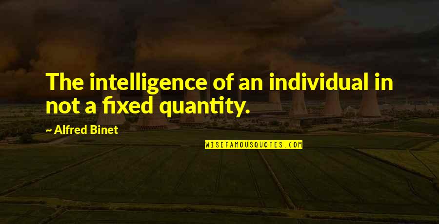Dramaturg Quotes By Alfred Binet: The intelligence of an individual in not a
