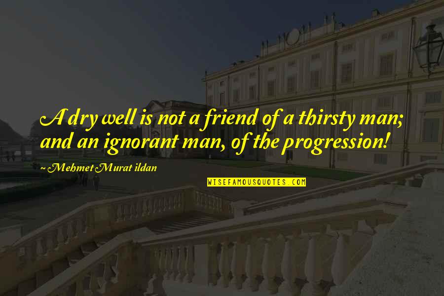 Drammatico In Inglese Quotes By Mehmet Murat Ildan: A dry well is not a friend of Drammatico In Inglese Quotes By Mehmet Murat Ildan: A dry well is not a friend of