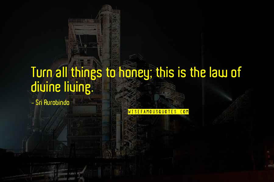 Drance Hem Quotes By Sri Aurobindo: Turn all things to honey; this is the Drance Hem Quotes By Sri Aurobindo: Turn all things to honey; this is the