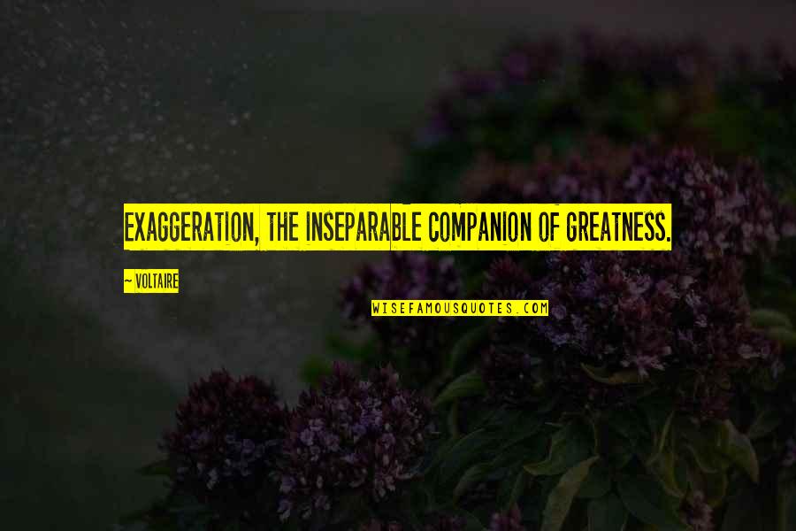 Drankin Quotes By Voltaire: Exaggeration, the inseparable companion of greatness.