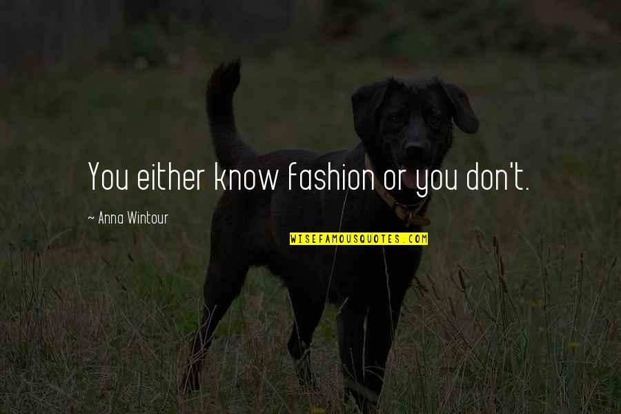 Drapier Johnson Quotes By Anna Wintour: You either know fashion or you don't.
