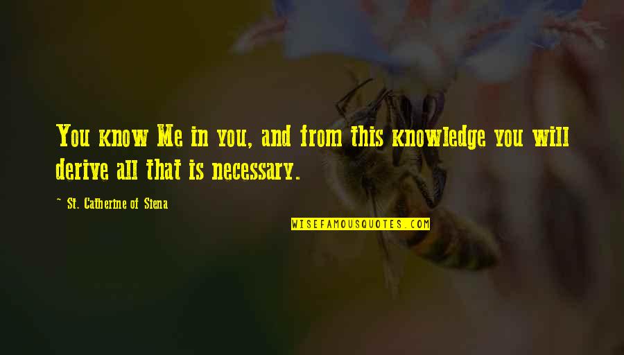 Draskovics Quotes By St. Catherine Of Siena: You know Me in you, and from this