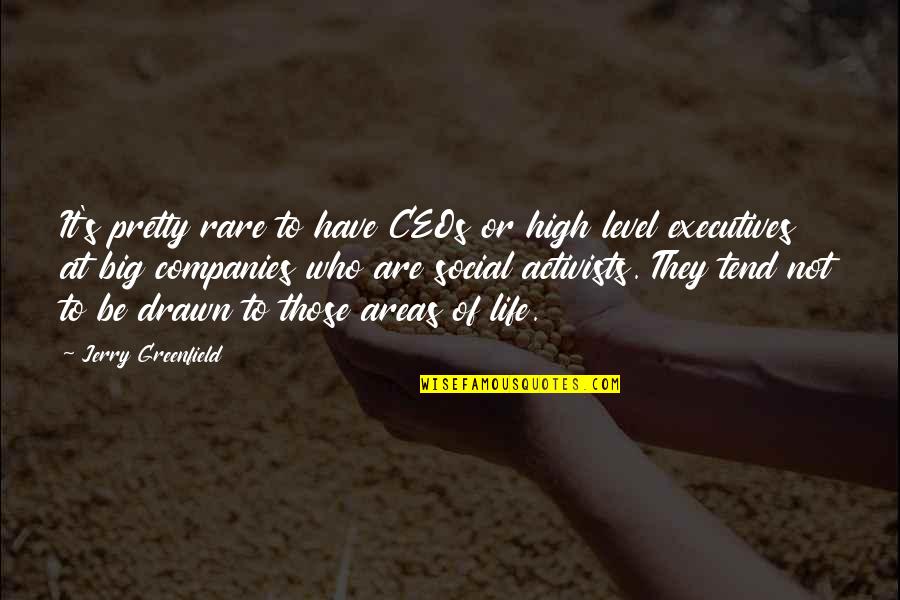 Drawn To Life Quotes By Jerry Greenfield: It's pretty rare to have CEOs or high