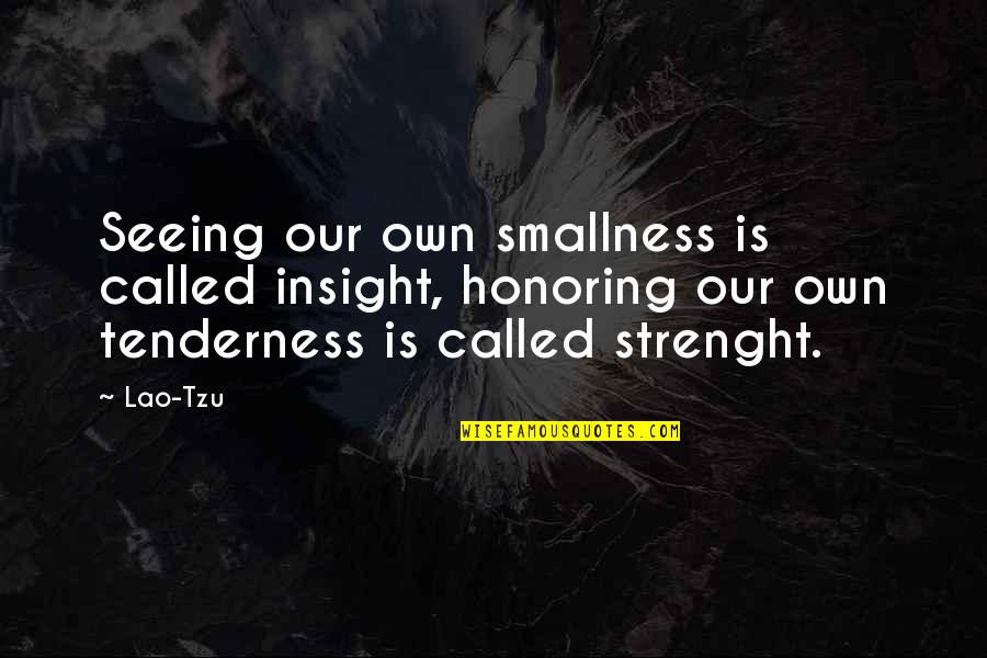 Drawn Together Israel Quotes By Lao-Tzu: Seeing our own smallness is called insight, honoring