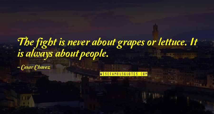 Draxxus Head Quotes By Cesar Chavez: The fight is never about grapes or lettuce.