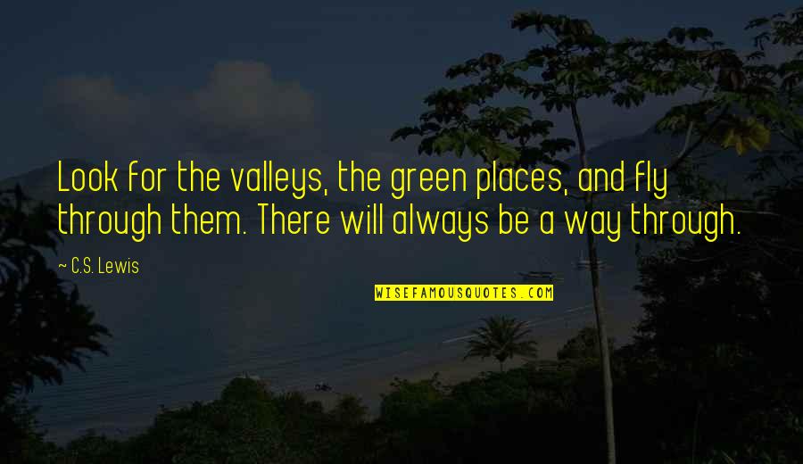 Dre Parker Quotes By C.S. Lewis: Look for the valleys, the green places, and Dre Parker Quotes By C.S. Lewis: Look for the valleys, the green places, and