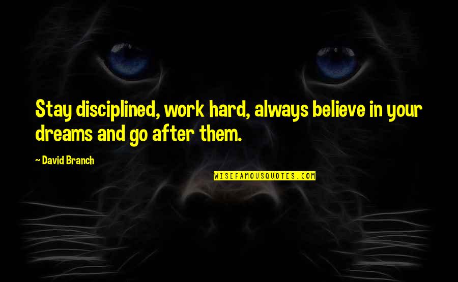 Dream And Believe Quotes By David Branch: Stay disciplined, work hard, always believe in your