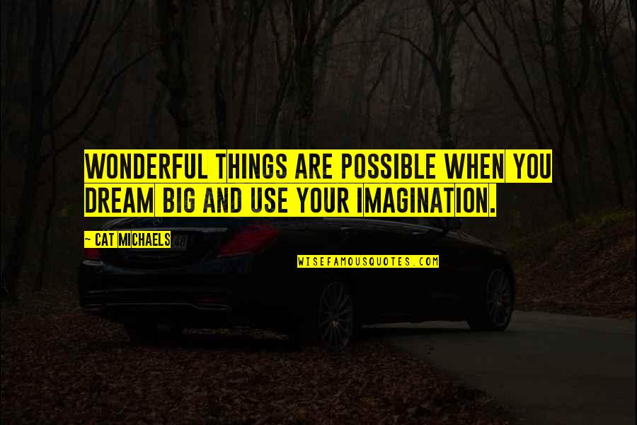Dream And Imagination Quotes By Cat Michaels: Wonderful things are possible when you dream big