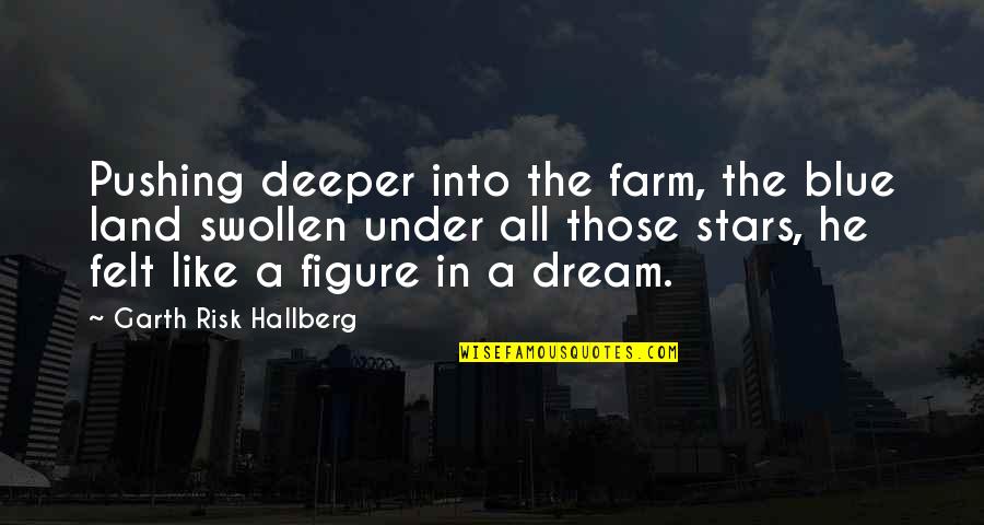 Dream And Stars Quotes By Garth Risk Hallberg: Pushing deeper into the farm, the blue land