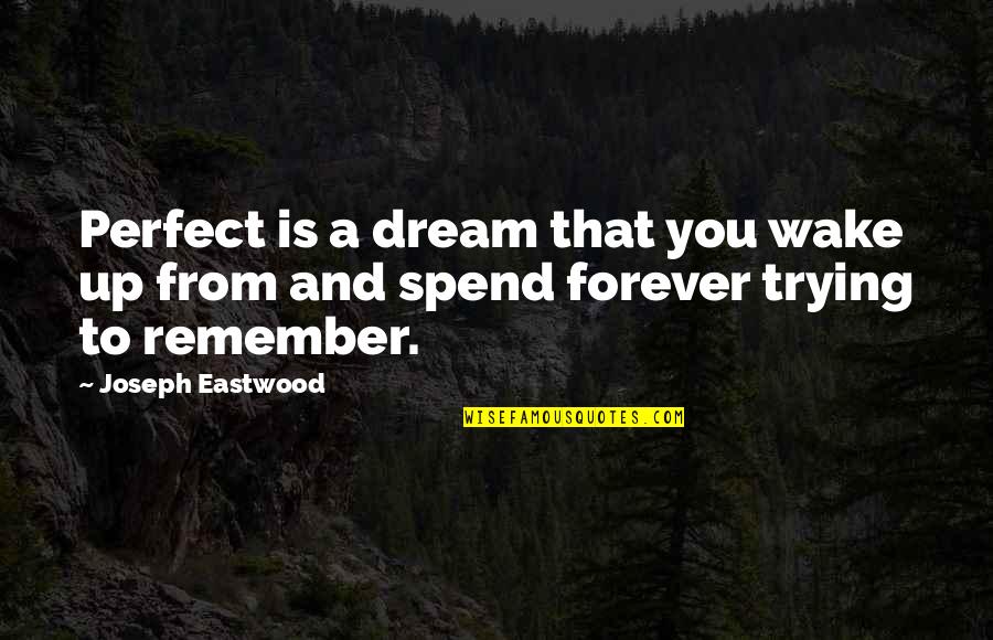 Dream And Wake Up Quotes By Joseph Eastwood: Perfect is a dream that you wake up