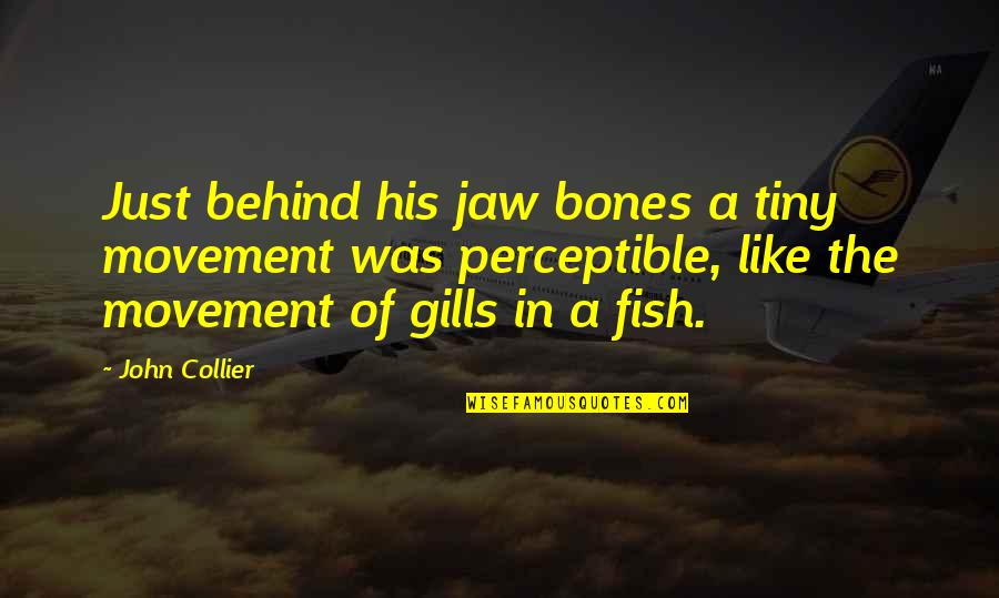 Dream Believe Succeed Quotes By John Collier: Just behind his jaw bones a tiny movement