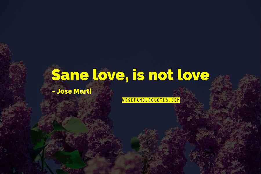 Dream Believe Succeed Quotes By Jose Marti: Sane love, is not love