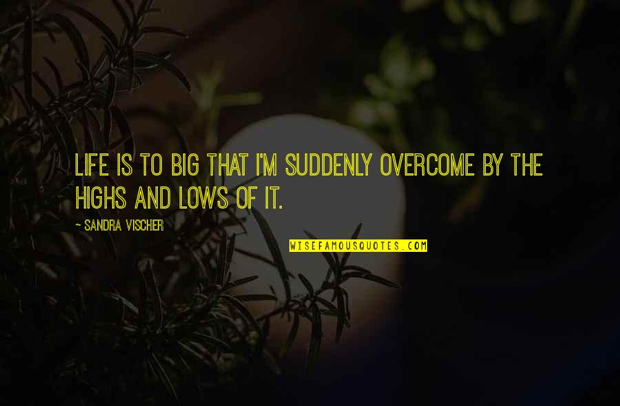 Dream Big Life Quotes By Sandra Vischer: Life is to BIG that I'm suddenly overcome