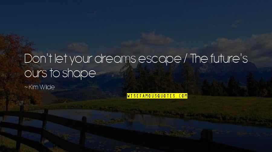 Dream For The Future Quotes By Kim Wilde: Don't let your dreams escape / The future's