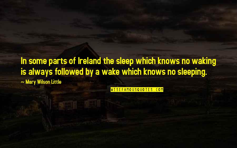 Dream High Inspirational Quotes By Mary Wilson Little: In some parts of Ireland the sleep which