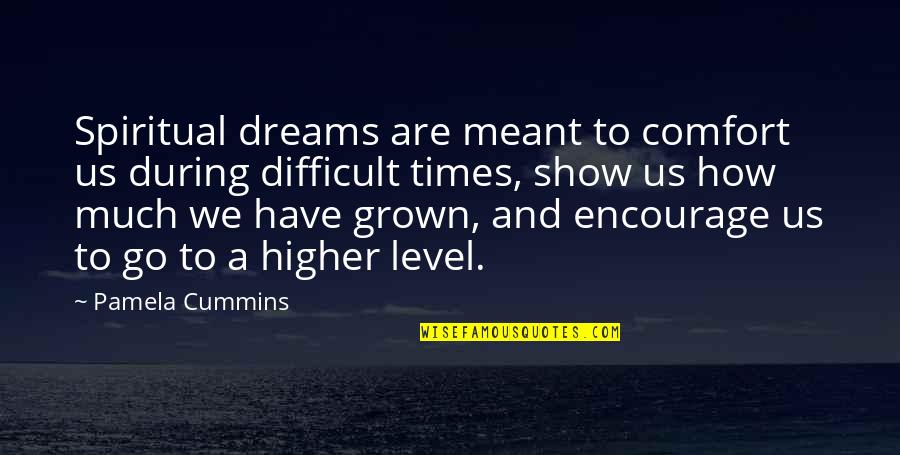 Dream Interpretation Quotes By Pamela Cummins: Spiritual dreams are meant to comfort us during