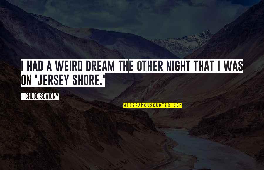 Dream Night Quotes By Chloe Sevigny: I had a weird dream the other night