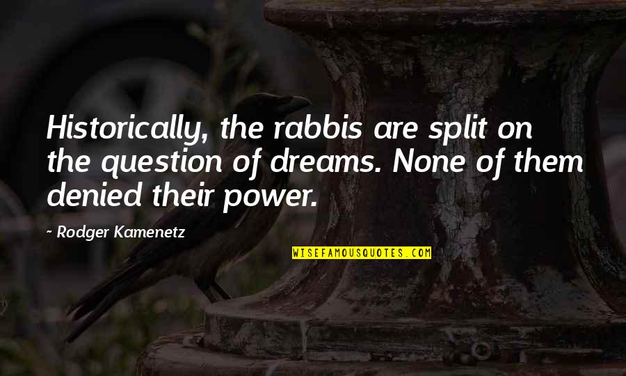 Dream Power Quotes By Rodger Kamenetz: Historically, the rabbis are split on the question