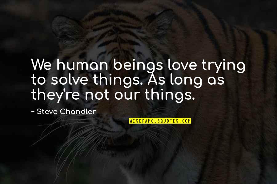 Dream Succeed Quotes By Steve Chandler: We human beings love trying to solve things.