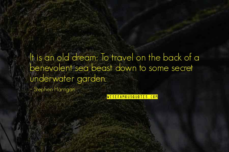 Dream To Travel Quotes By Stephen Harrigan: It is an old dream: To travel on