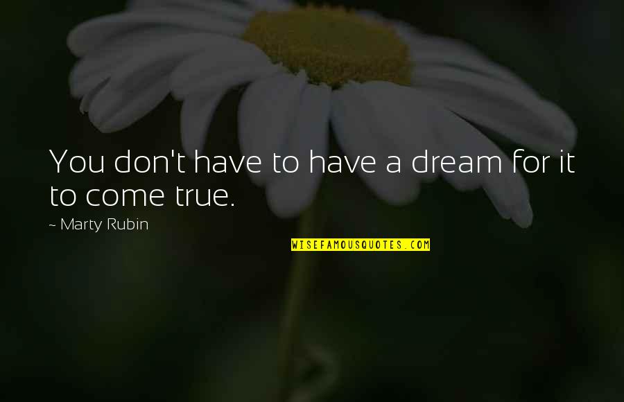 Dream Vs Reality Quotes By Marty Rubin: You don't have to have a dream for