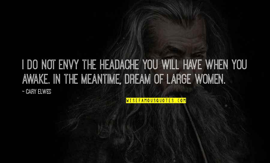 Dream When You Are Awake Quotes By Cary Elwes: I do not envy the headache you will