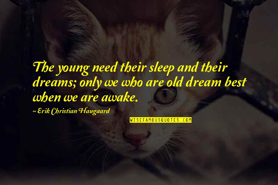 Dream When You Are Awake Quotes By Erik Christian Haugaard: The young need their sleep and their dreams;