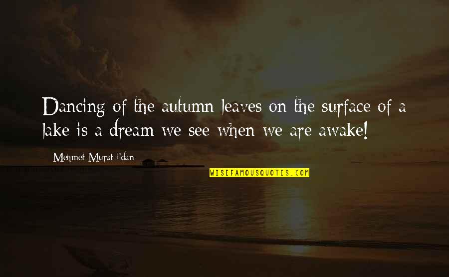 Dream When You Are Awake Quotes By Mehmet Murat Ildan: Dancing of the autumn leaves on the surface