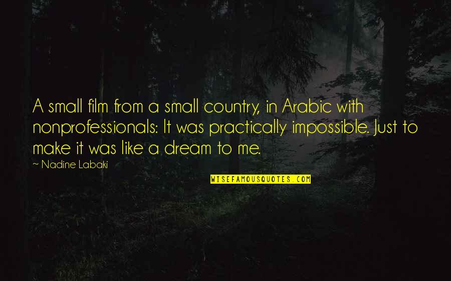 Dream With Me Quotes By Nadine Labaki: A small film from a small country, in