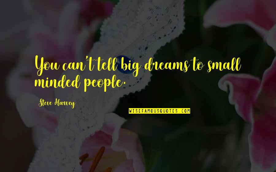 Dream You Quotes By Steve Harvey: You can't tell big dreams to small minded