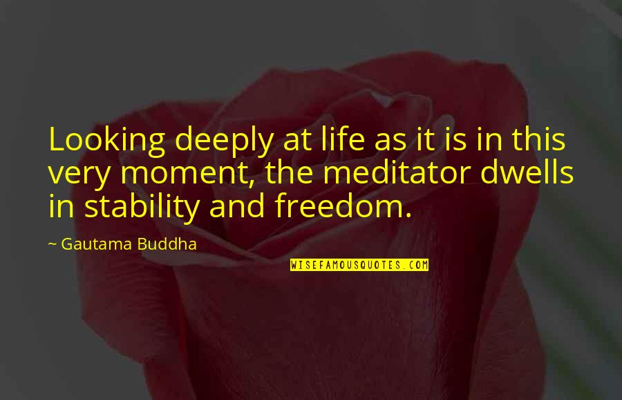 Dreamboat Quotes By Gautama Buddha: Looking deeply at life as it is in