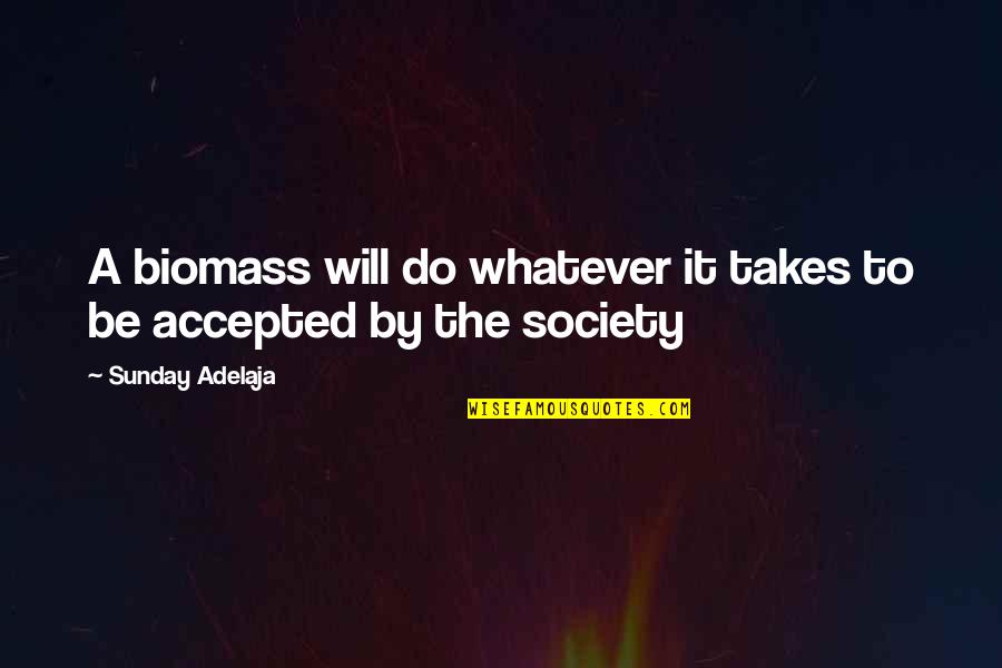 Dreamcatcher Quotes By Sunday Adelaja: A biomass will do whatever it takes to Dreamcatcher Quotes By Sunday Adelaja: A biomass will do whatever it takes to